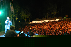 shows